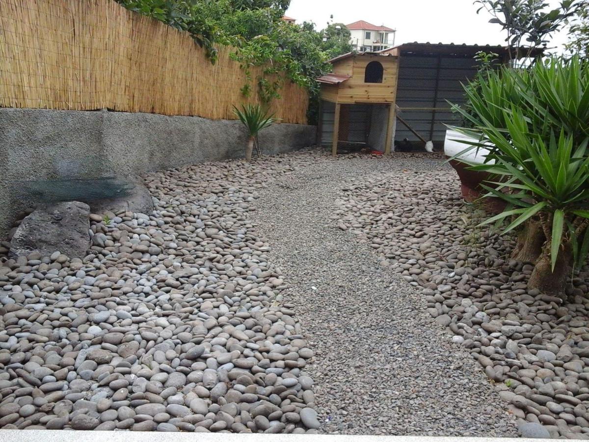 Cottage Quinze, Contemporary Designed Cottage With Swimming Pool ポンタ・デルガダ エクステリア 写真