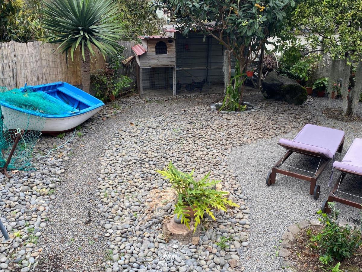 Cottage Quinze, Contemporary Designed Cottage With Swimming Pool ポンタ・デルガダ エクステリア 写真